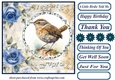 Blue rose a little birdie told me card front 2