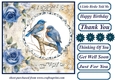 Blue rose a little birdie told me card front 3