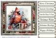 Christmas gift cardinal card front 1