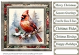 Christmas gift cardinal card front 2