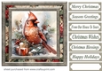 Christmas gift cardinal card front 3
