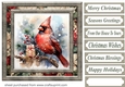 Christmas gift cardinal card front 4