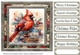 Christmas gift cardinal card front 5