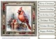 Christmas gift cardinal card front 6
