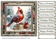 Christmas gift cardinal card front 7