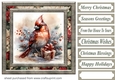 Christmas gift cardinal card front 8