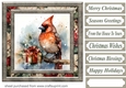Christmas gift cardinal card front 10