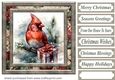 Christmas gift cardinal card front 11