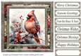 Christmas gift cardinal card front 12
