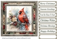 Christmas gift cardinal card front 14