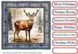 Elegant Christmas stag card front 6
