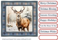 Elegant Christmas stag card front 10