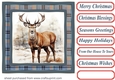 Elegant Christmas stag card front 14