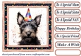 Framed Scottish terrier Birthday Card front 4