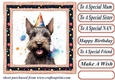 Framed Scottish terrier Birthday Card front 5