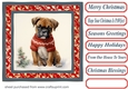 Christmas boxer card front 1