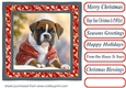 Christmas boxer card front 2