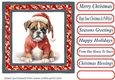Christmas boxer card front 3