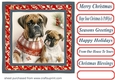 Christmas boxer card front 4