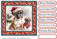 Christmas boxer card front 5