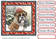 Christmas boxer card front 6