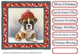 Christmas boxer card front 7