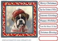 Christmas boxer card front 8