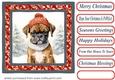Christmas boxer card front 9