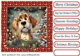 Christmas pooch in a tangle card front 1