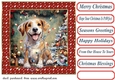 Christmas pooch in a tangle card front 7