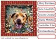 Christmas pooch in a tangle card front 8