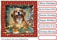 Christmas pooch in a tangle card front 9