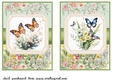 2 Floral butterfly card fronts(5x7 aprox) 1