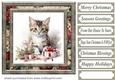 Cute Christmas kitten card front 2