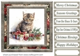 Cute Christmas kitten card front 6