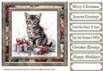 Cute Christmas kitten card front 7