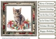 Cute Christmas kitten card front 9