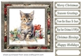 Cute Christmas kitten card front 10