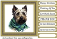 Tartan scarf Scottish terrier card front 1