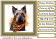 Tartan scarf Scottish terrier card front 3
