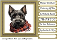 Tartan scarf Scottish terrier card front 7
