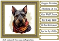 Tartan scarf Scottish terrier card front 10