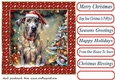 Framed pup in a tangle Christmas card front 1