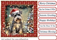 Framed pup in a tangle Christmas card front 2