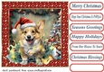 Framed pup in a tangle Christmas card front 3