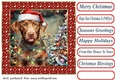 Framed pup in a tangle Christmas card front 4