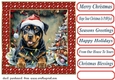 Framed pup in a tangle Christmas card front 5