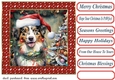 Framed pup in a tangle Christmas card front 6