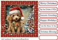 Framed pup in a tangle Christmas card front 7