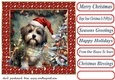 Framed pup in a tangle Christmas card front 8